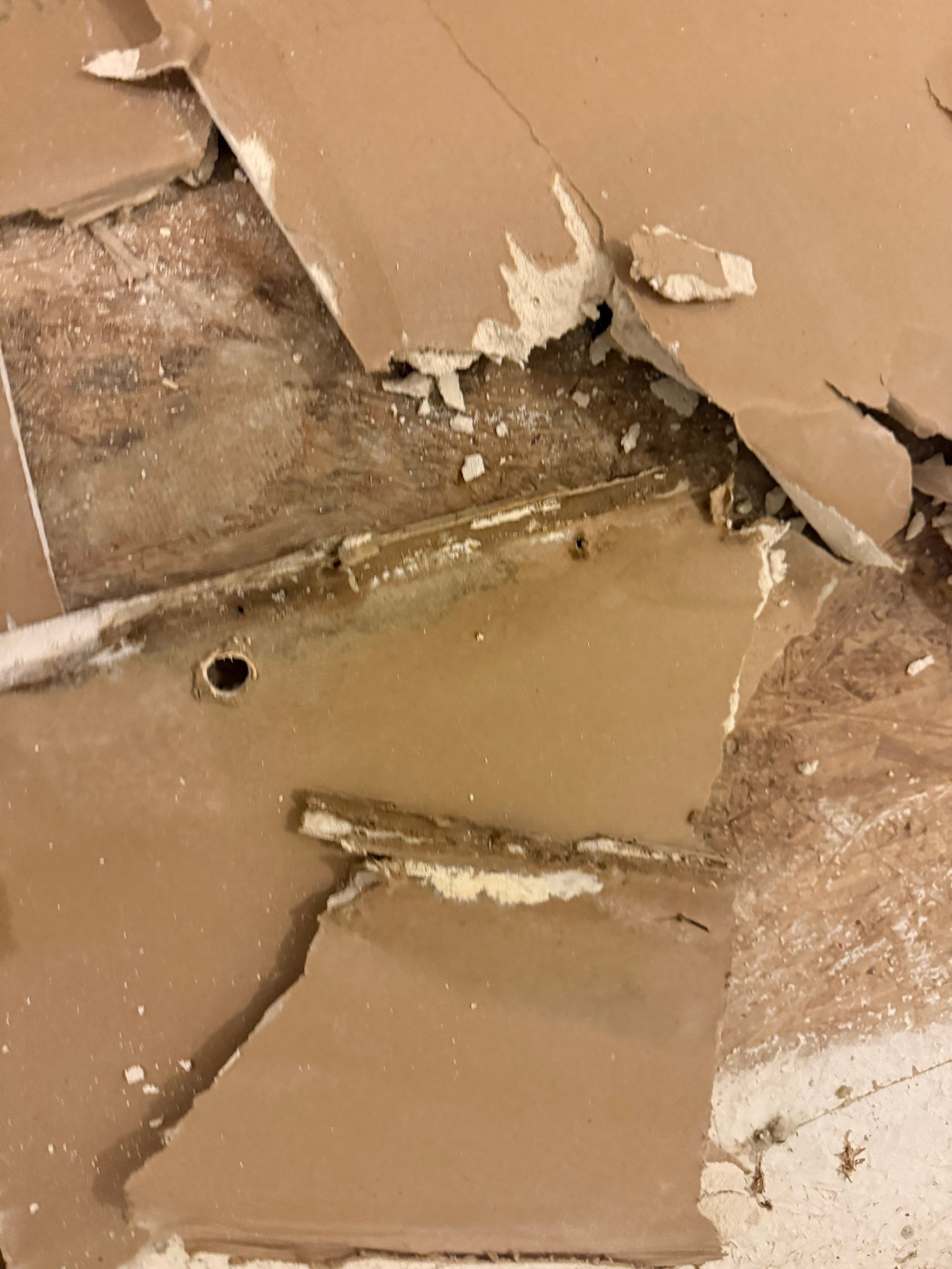 Project in Davenport by You Restorations LLC DBA YOU-Home