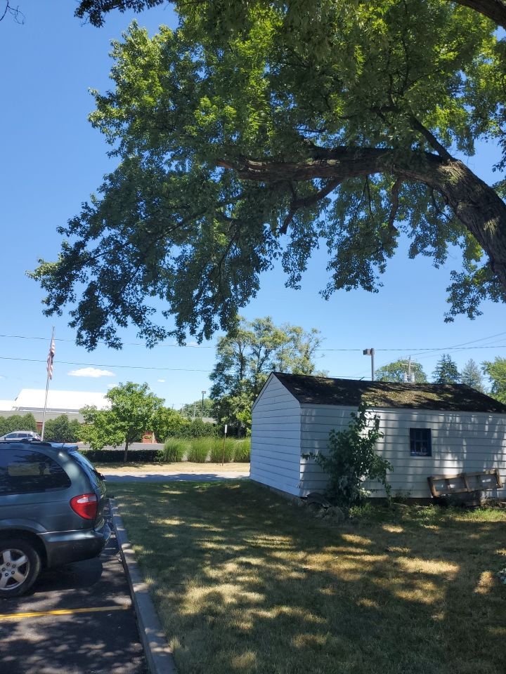 Tree Trimming using Tree Pruing by Mike Jones & Sons Tree Service LLC 