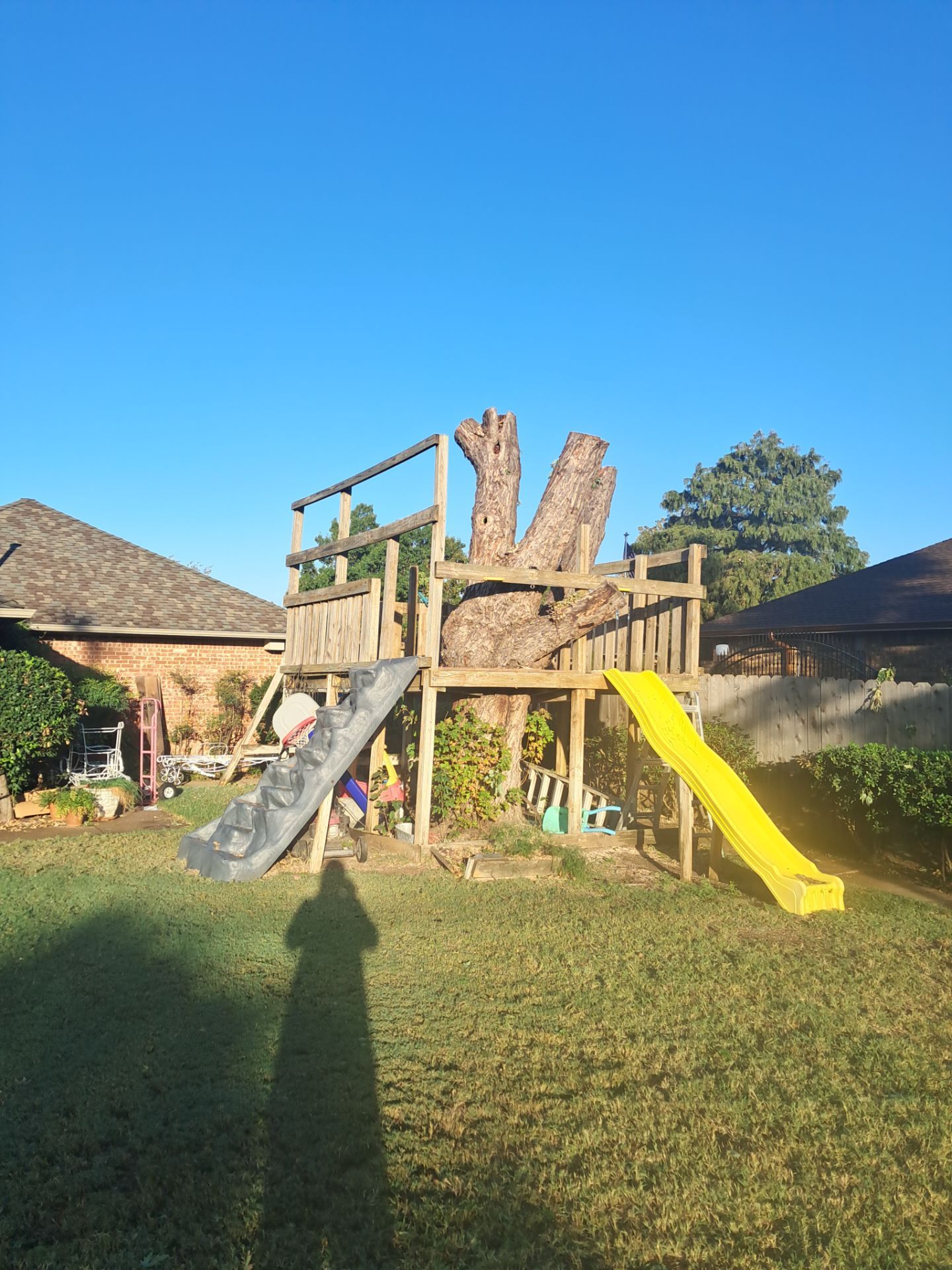 Tree Removal using Chainsaws by Clays Services Inc