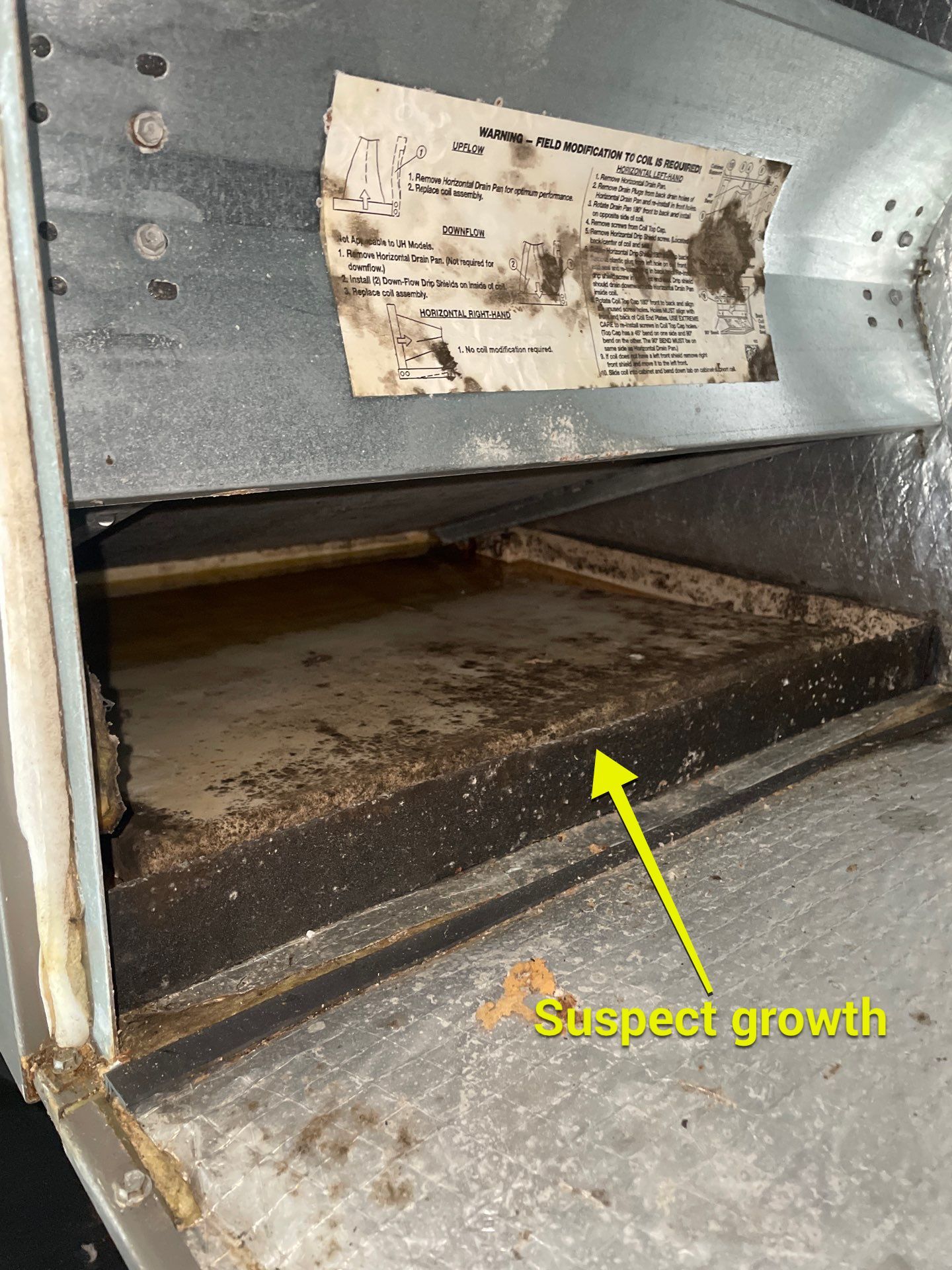 Air Duct and Dryer Vent Cleaning in Groveland by Hygienic Air, Inc