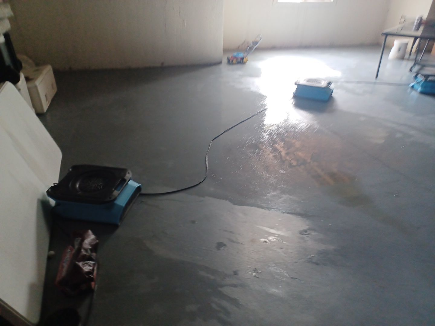 Project in West Bloomfield by EzDry Water Mitigation & Property Restoration