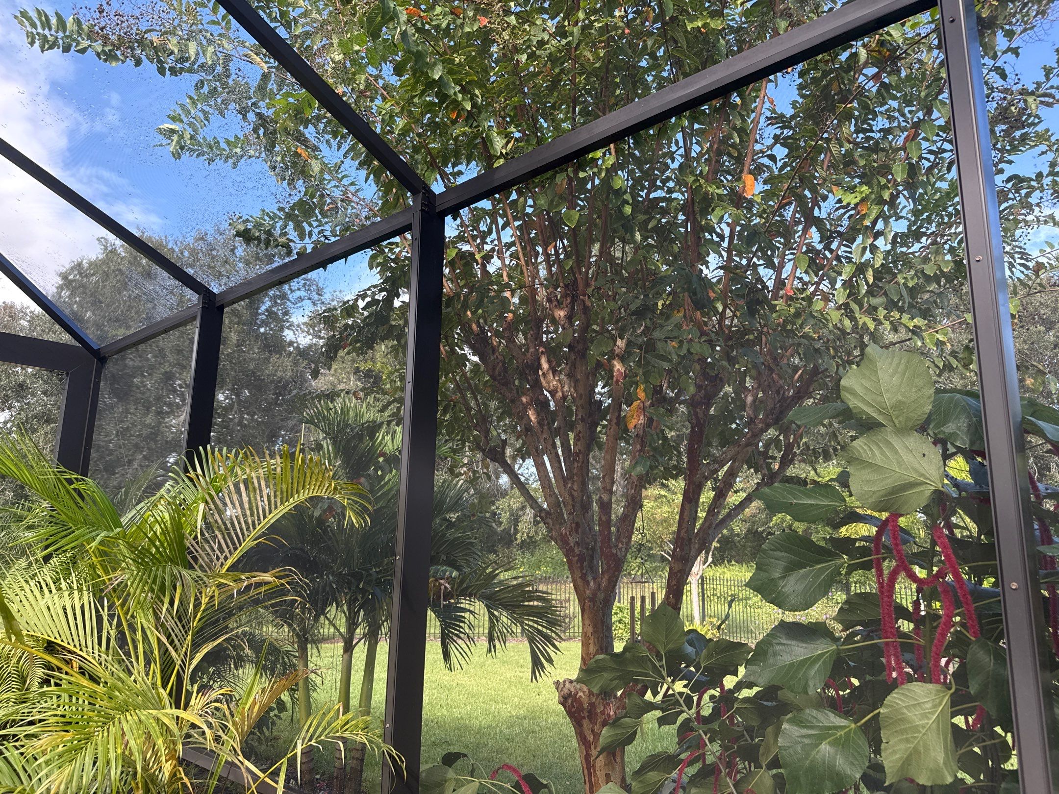 Pool Cage Cleaning | Rye Wilderness, Bradenton FL by Sunshine AquaWash