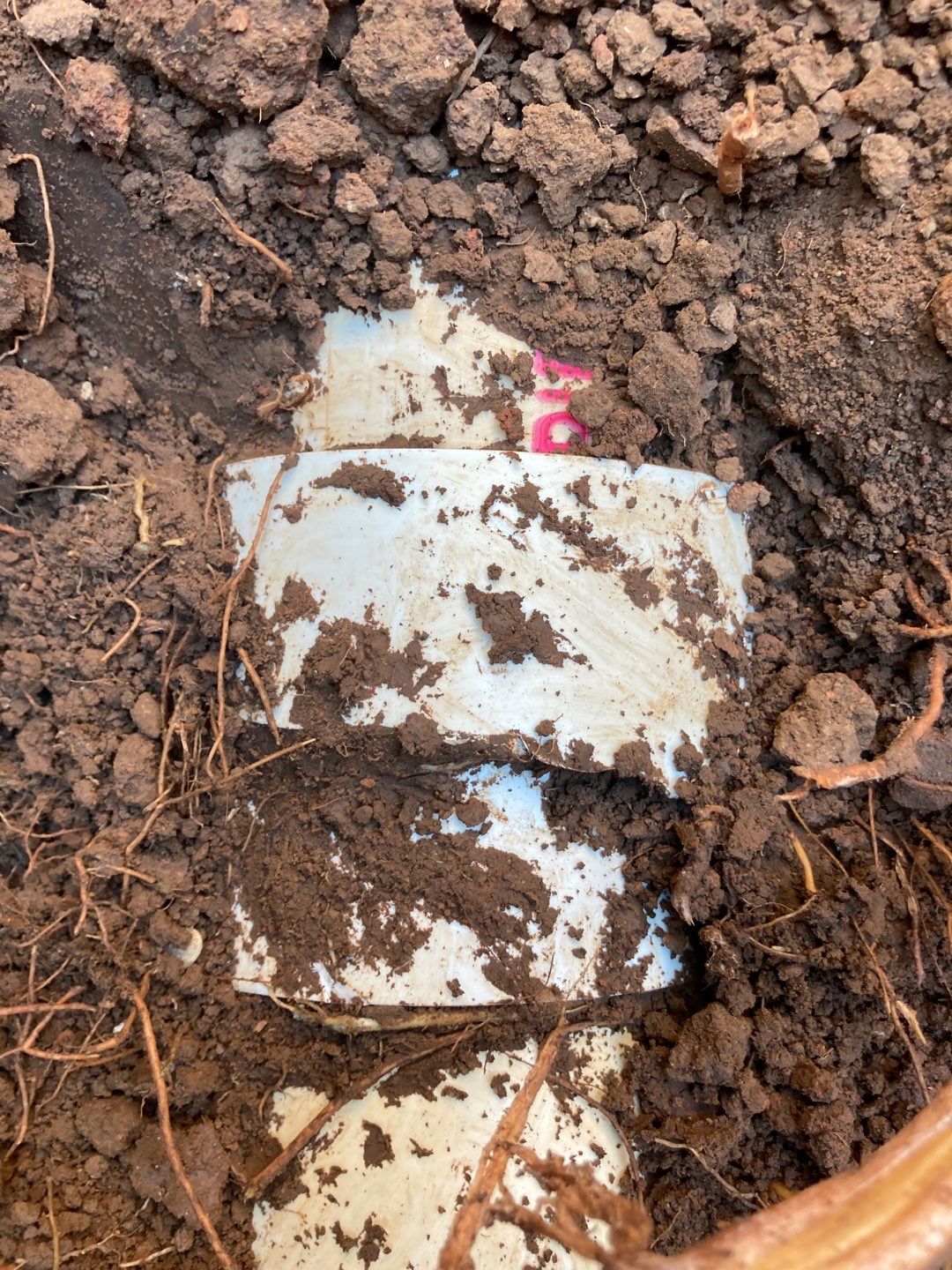 Project in Oklahoma City by PRO-ROOTER