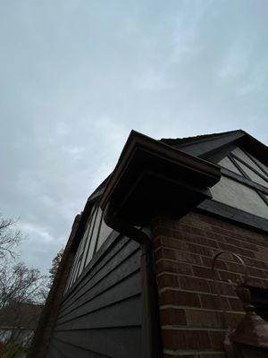 Turtle Shell gutter protection installation in Naperville, IL 60563, photograph 5