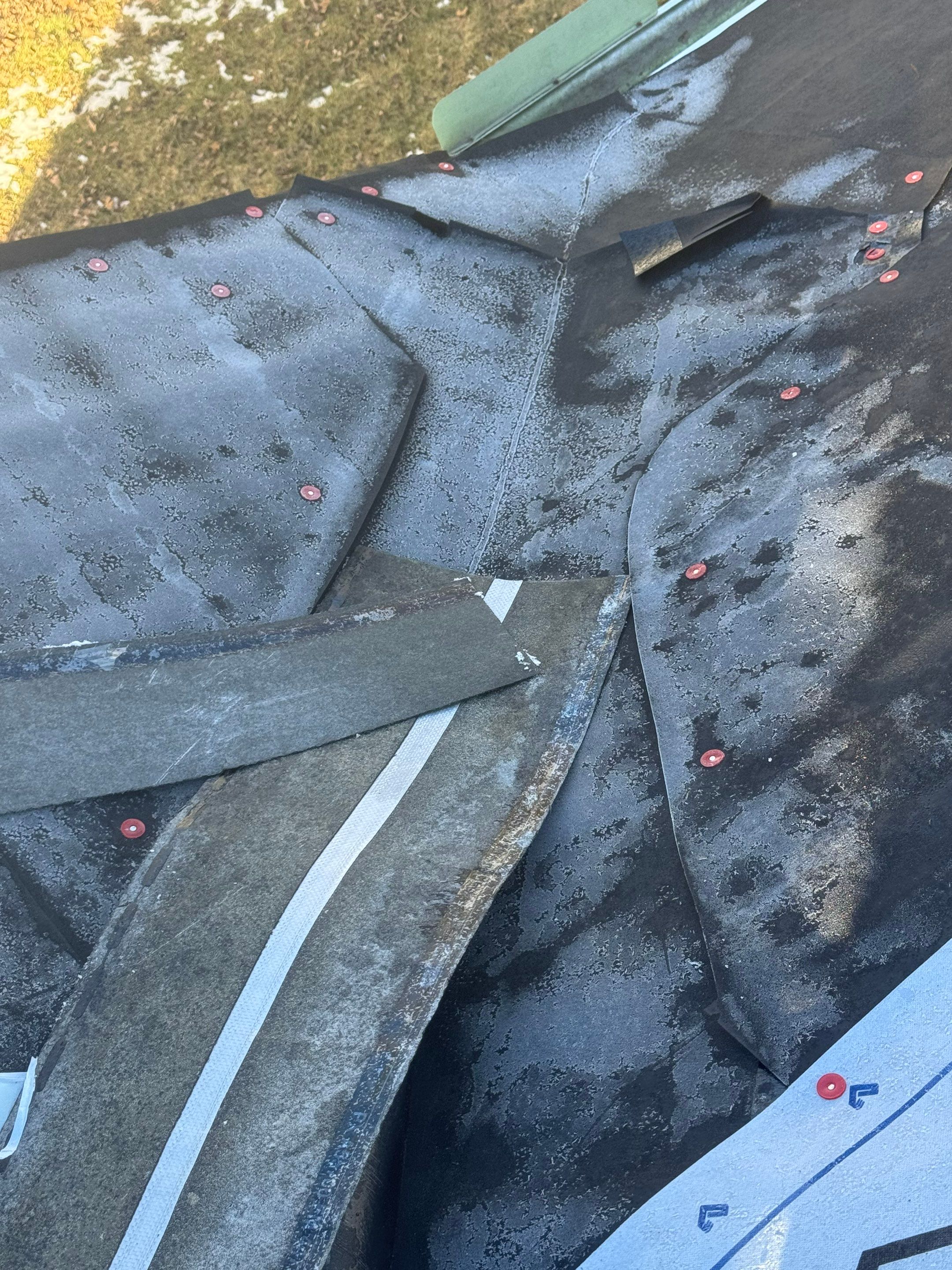 Sharkey Roof by Erie Home