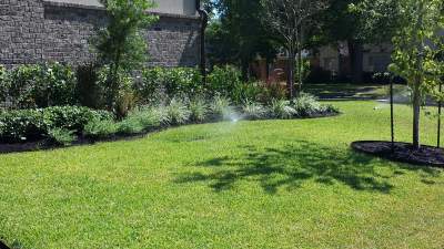Thirsty Yard to Lush Lawn: Major Sprinkler Overhaul for Mrs. Padovani! 💧🌱