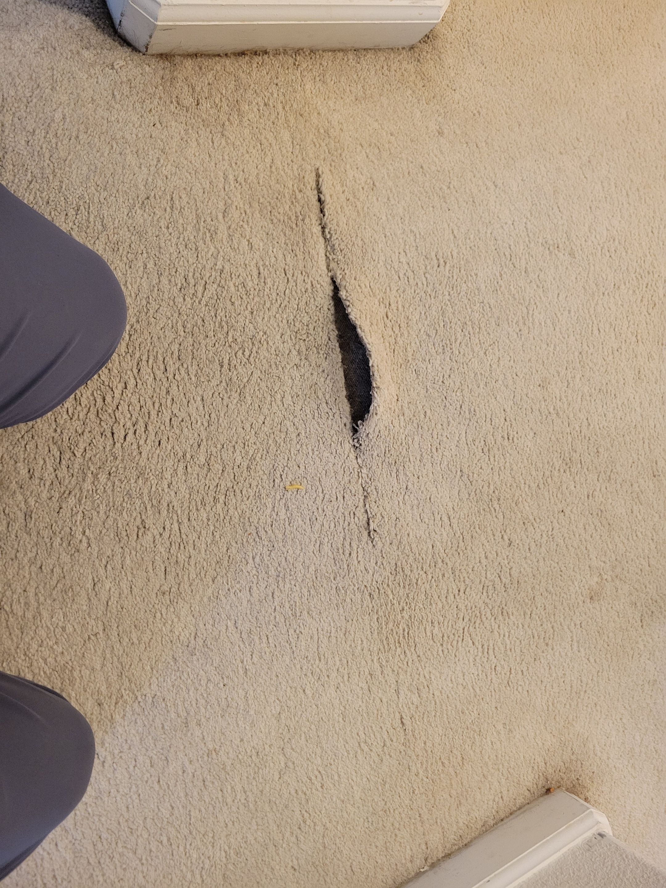 Delaminated Carpet Seam Repair by Ardent Carpet Restore LLC
