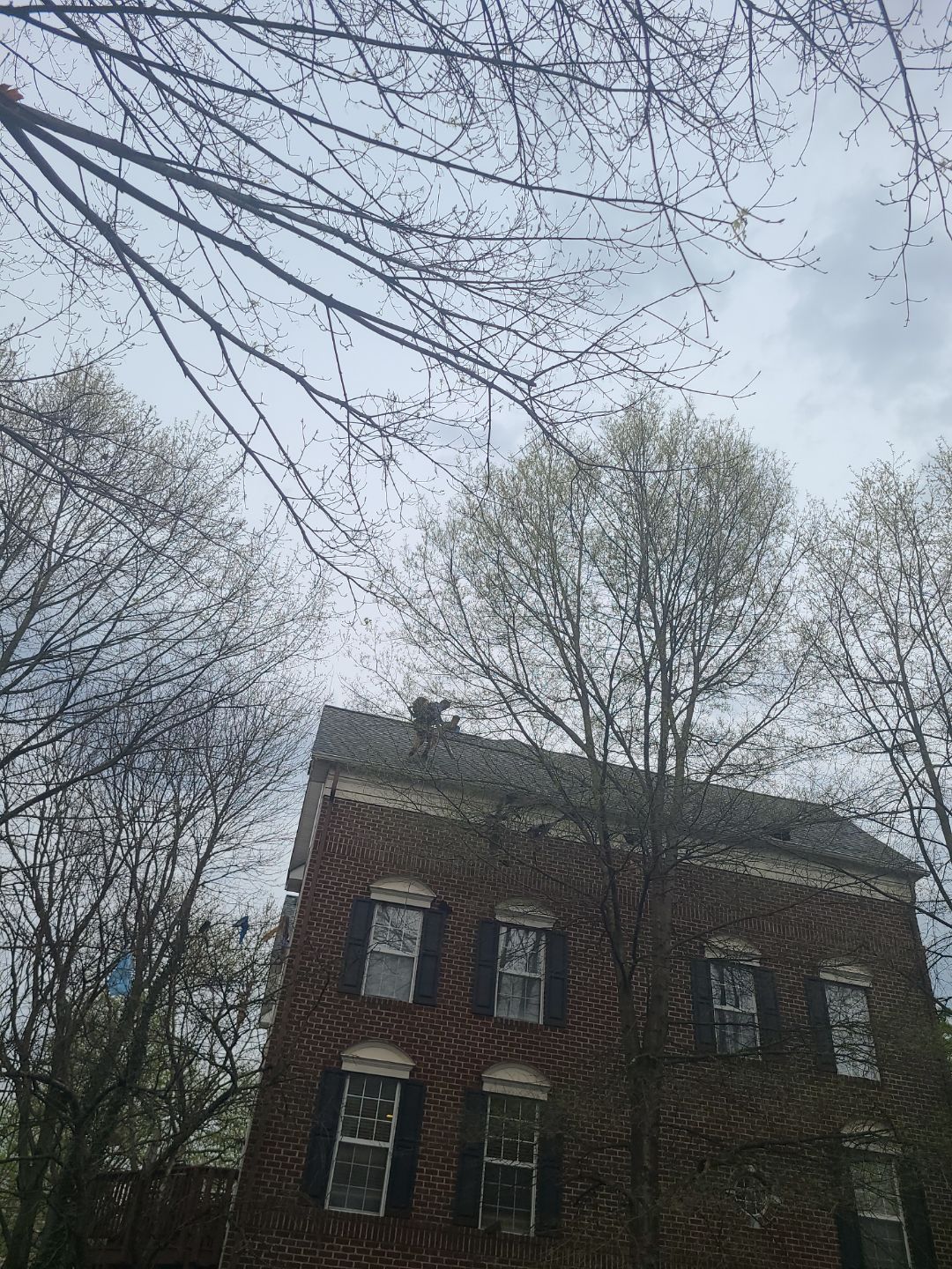 Alexandria: CertainTeed Landmark Pro Designer Shingles in Max Def Georgetown Gray by RM Banning, Inc.