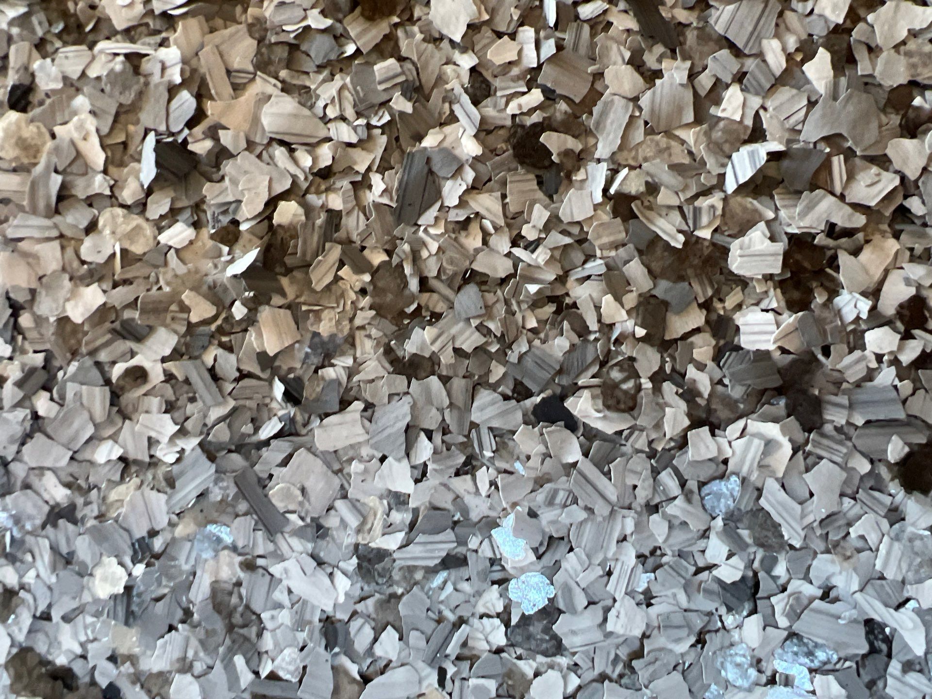 Silverado concrete coating  by NG Masonry & Construction LLC