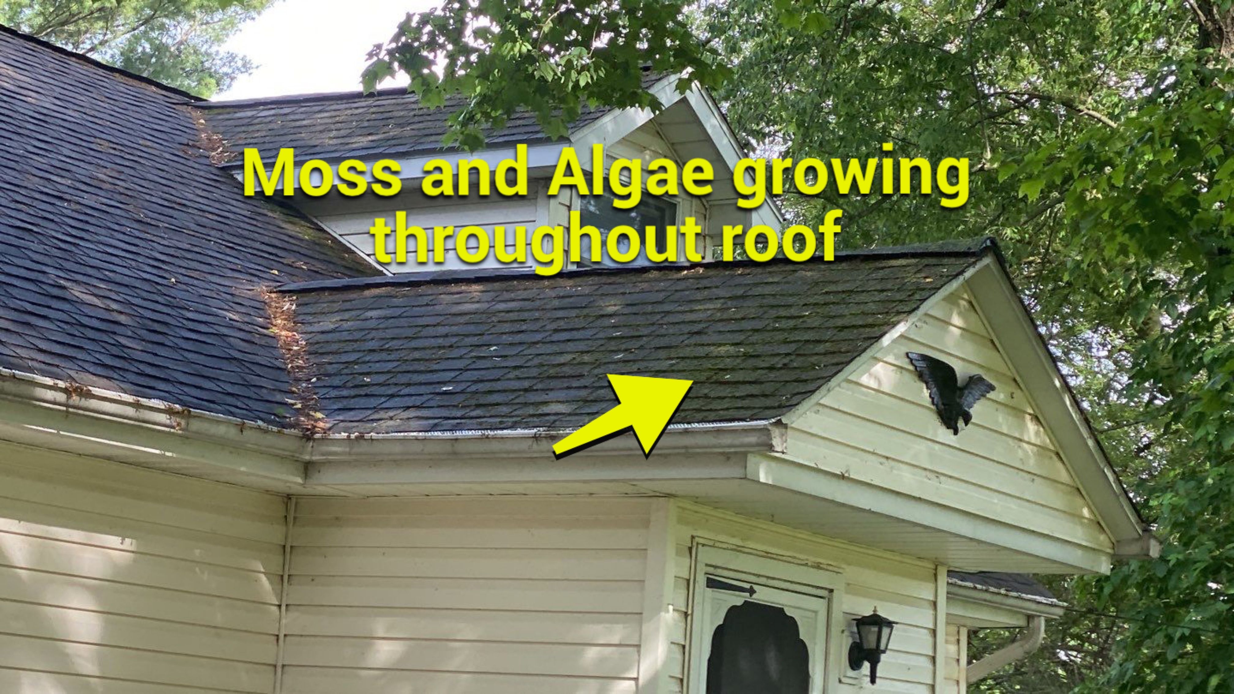 Metal Slate Shingle Roof Replacement After Hail Damage in Columbia City, Indiana by 4Ever Metal Roofing