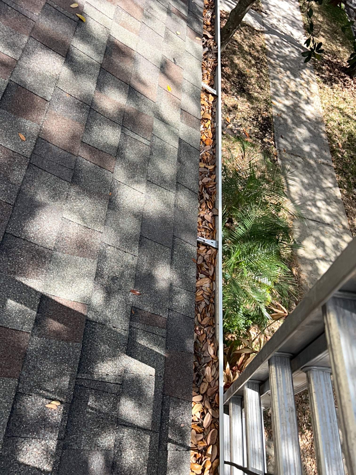 Residential gutters before picture full of leaves.