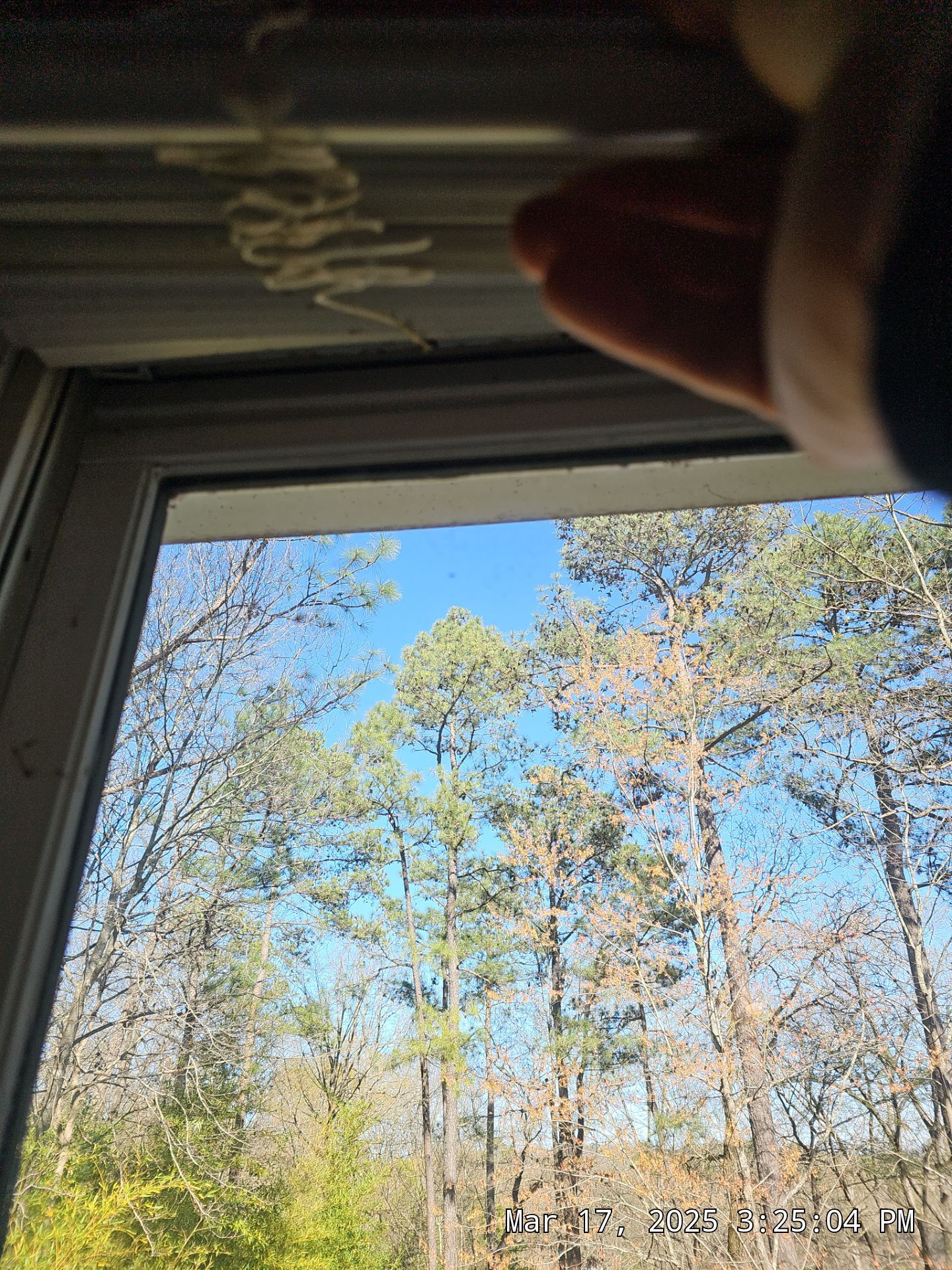 Slattery Project in Hoover by The Window Source