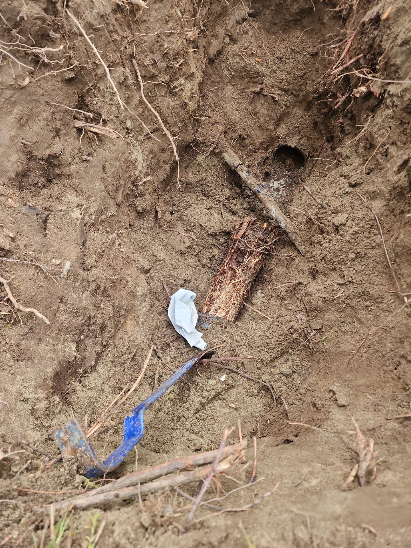 Targeted Sewer Repair After Repeated Backups by McCray's Handyman, Inc.