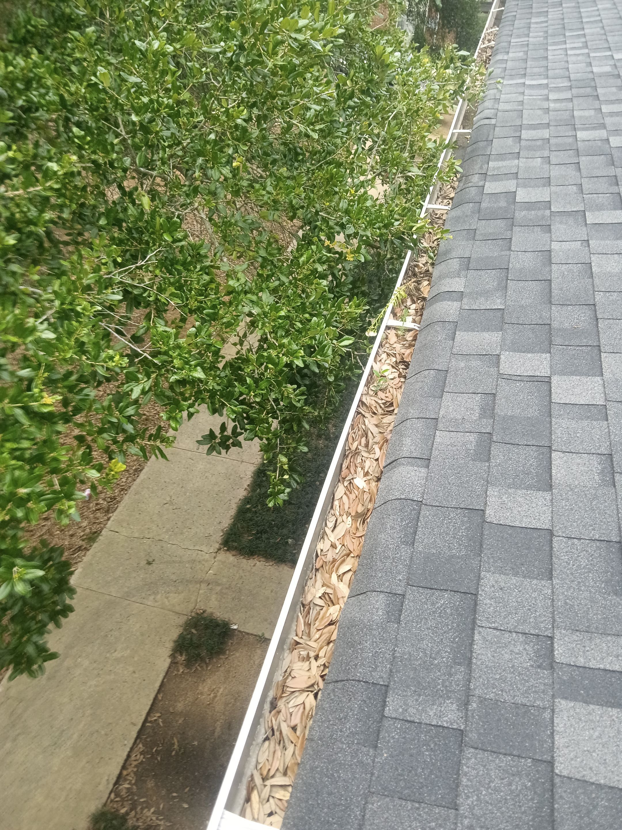 Commercial gutter cleaning Columbia, before photo with filled gutters