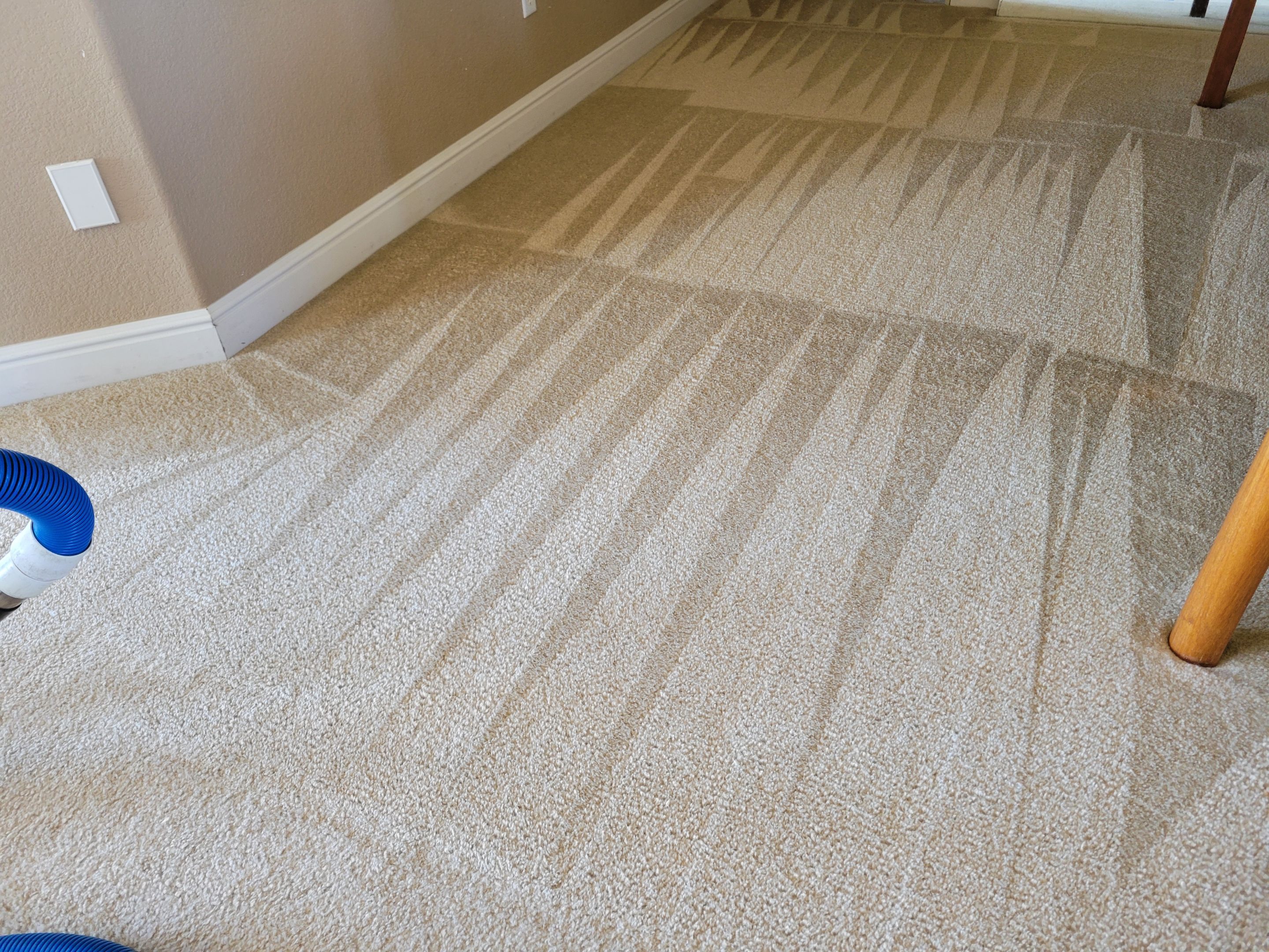 Carpet Cleaning in West Sacramento by Ardent Carpet Restore LLC