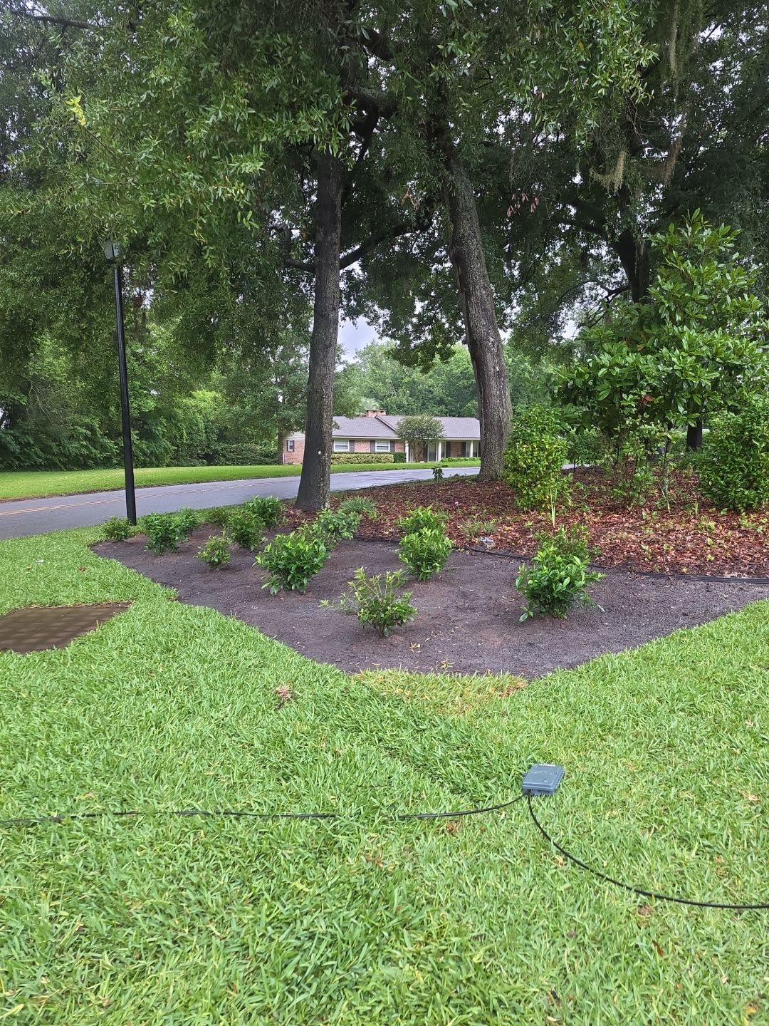 Deerwood Resident | Sod & Plant Install by ProGreen Services
