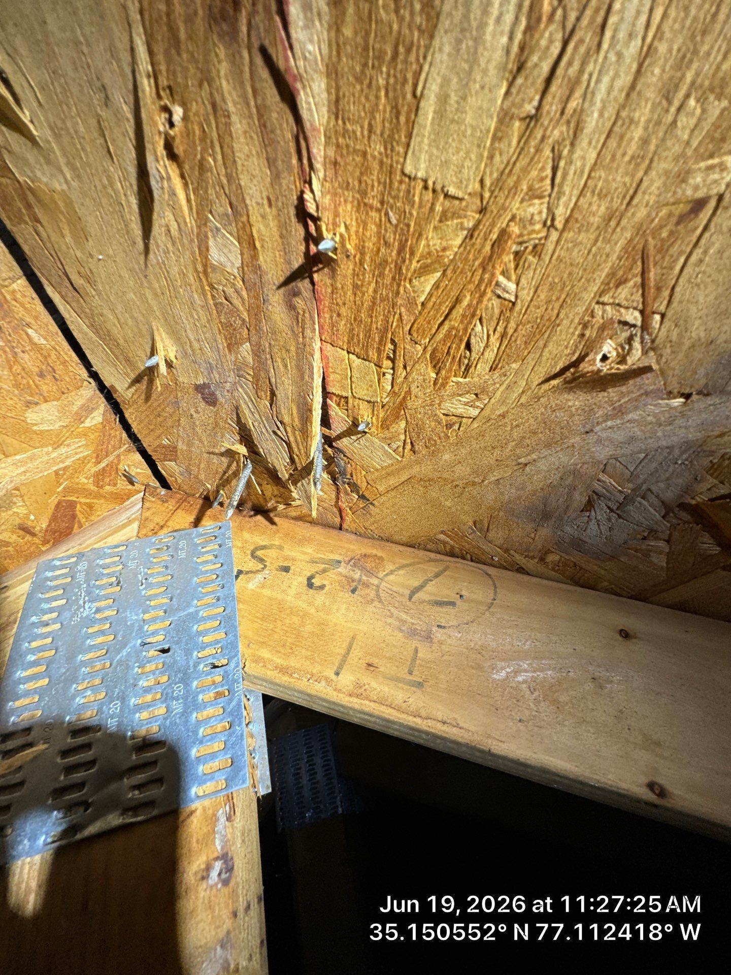 New Bern Roof Replacement Following Storm and Tree Damage by North Carolina Roofs