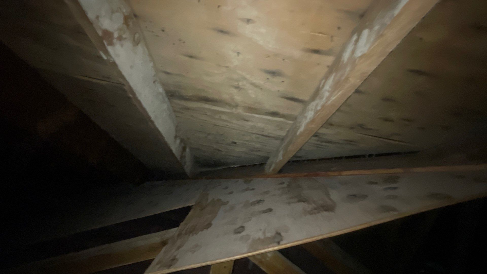 Roof Replacement using Owens Corning by 180 Contractors