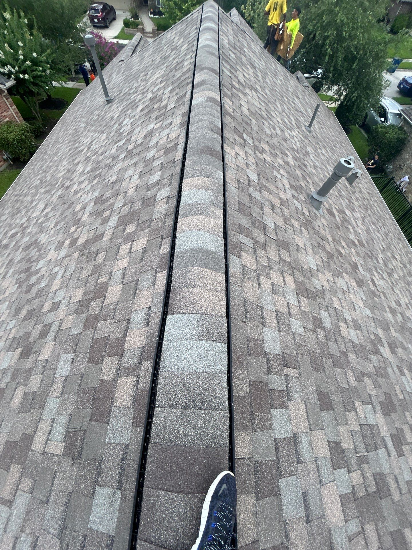 Catherine D by Boss Hogg Roofing