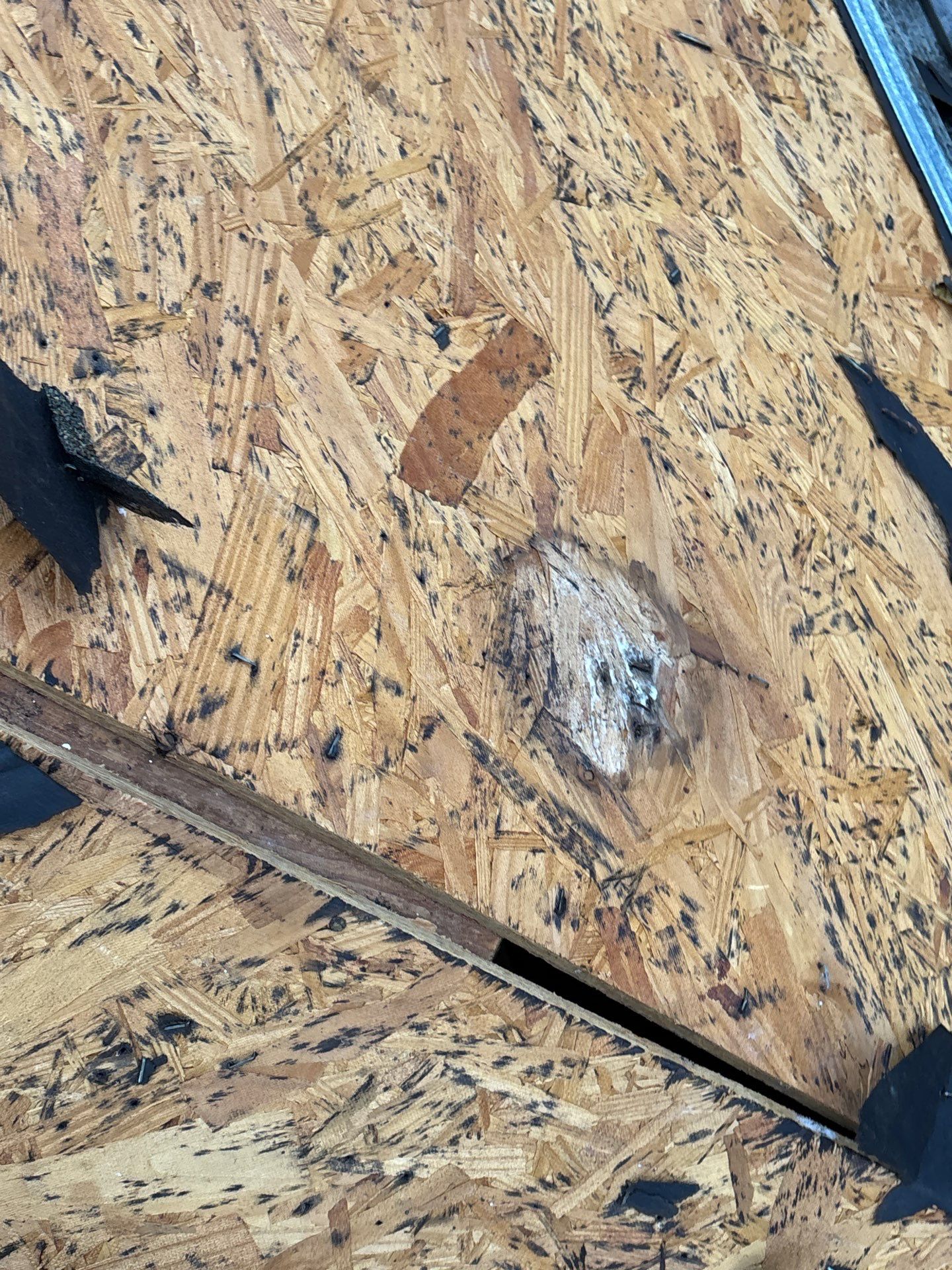 Roof Replacement Sugarland by Roof Repair Services LLC