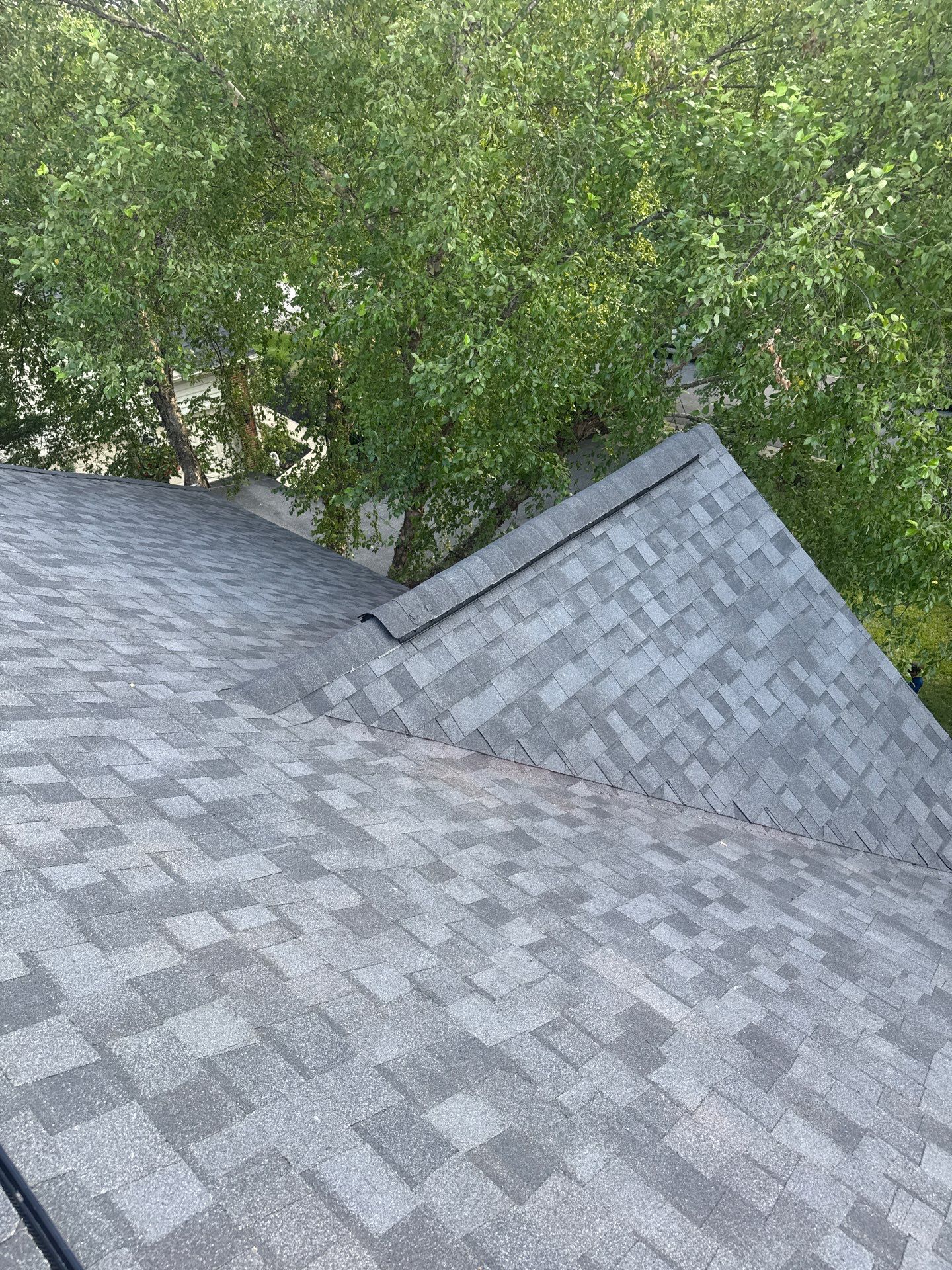 New Shingle Roof & New Gutters and downspouts with covers by Alpha Design Services
