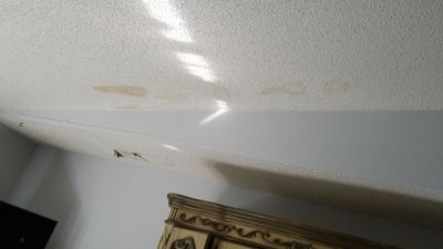 Asphalt Shingle Roof Leak Repair and Siding Restoration in Deerfield Beach