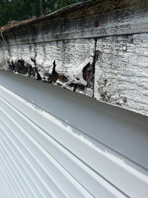 Property Damage in Need of Repair