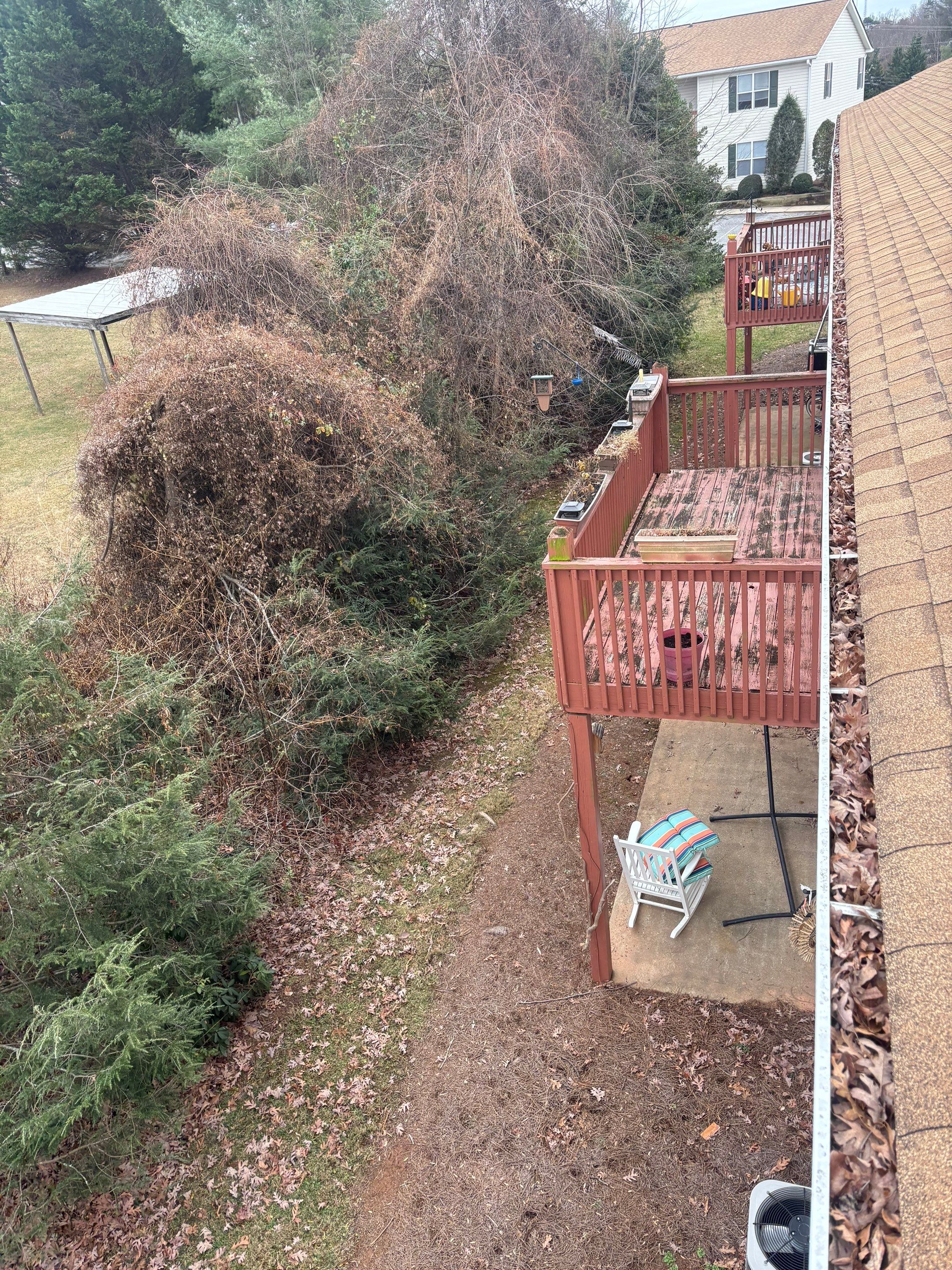 Commercial gutter cleaning Asheville before photo with filled gutters
