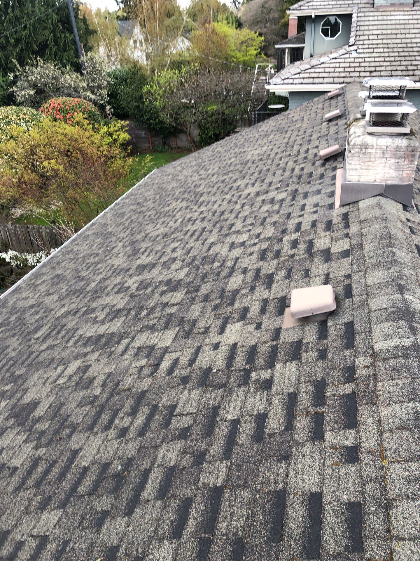 Project in Seattle by Peaks and Valleys Construction