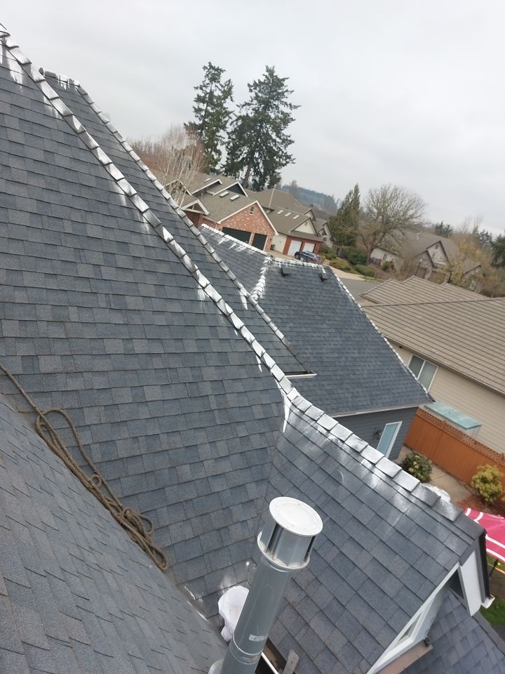 Roof Cleaning  using Moss Treatment  by BEST Roofing & Waterproofing