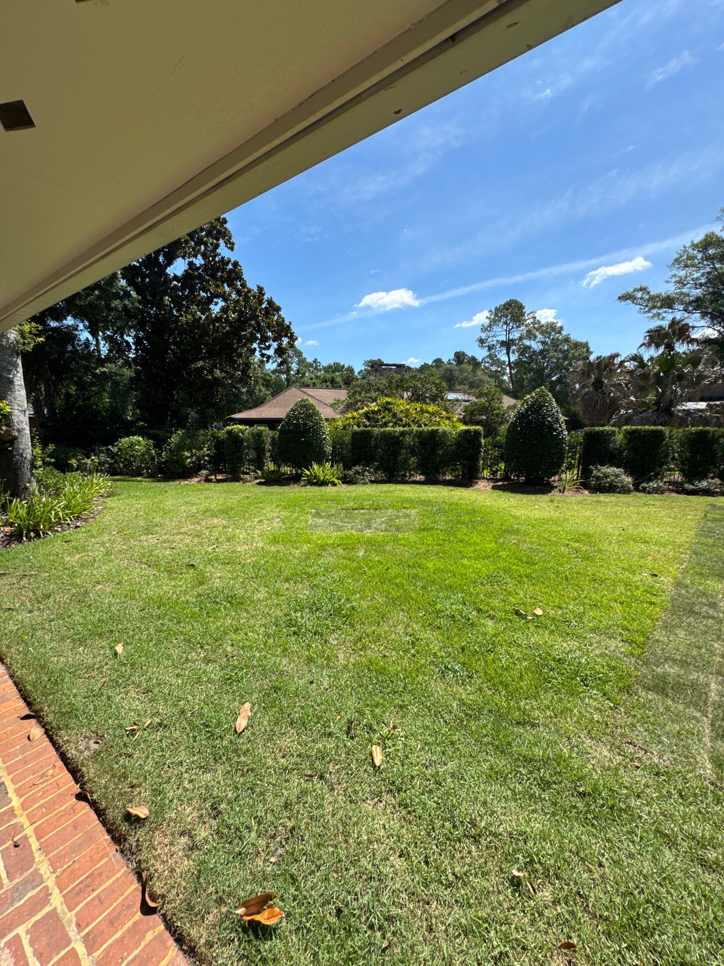 Deerwood Resident | Sod Installation by ProGreen Services