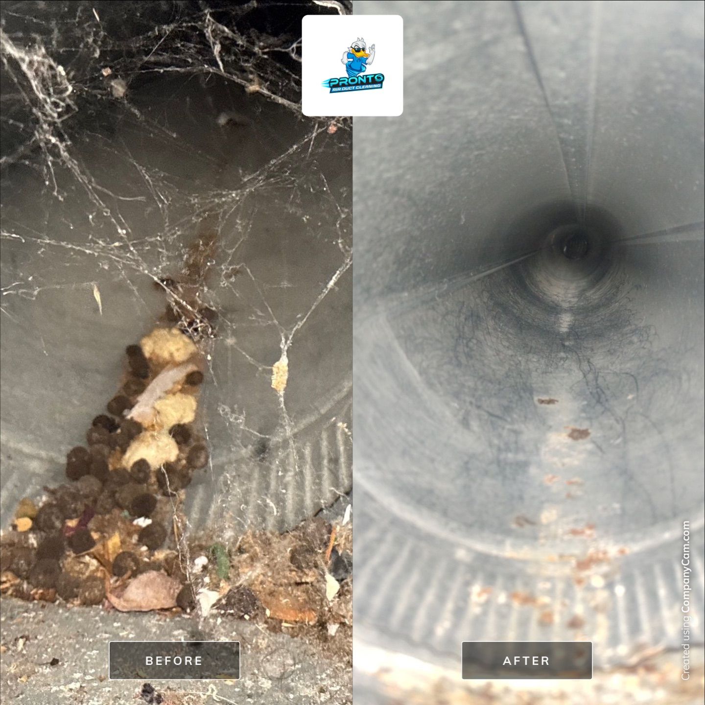 Air Duct Cleaning Manassas Park VA by Pronto Air Duct Cleaning