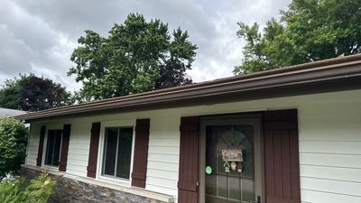 Turtle Shell gutter protection installation in Woodridge, IL 60517, photograph 19