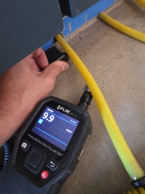 Anna and Allan Branch 