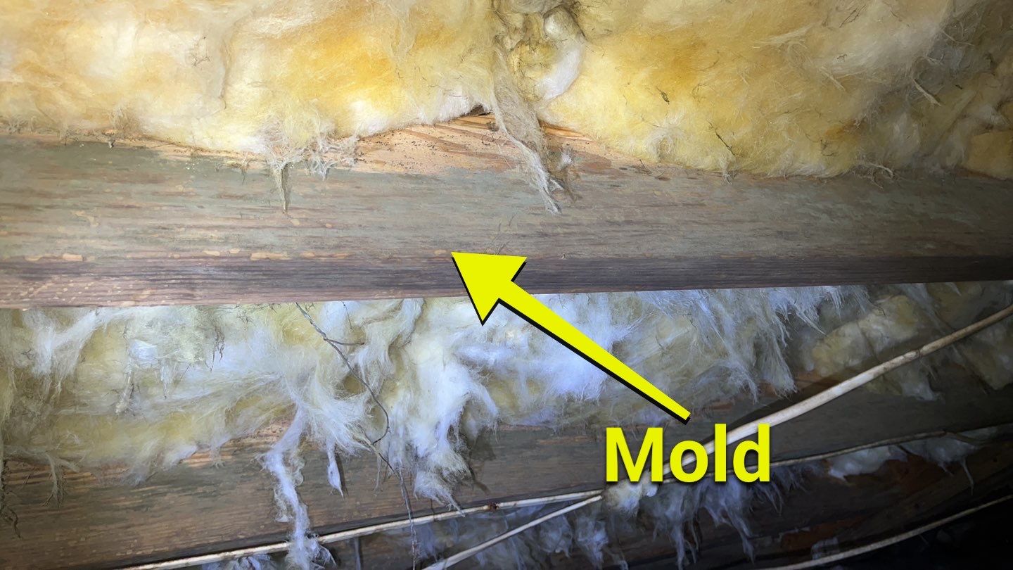 Impact Choice Encapsulation using YCS Pro Cleaner by Impact Crawlspace