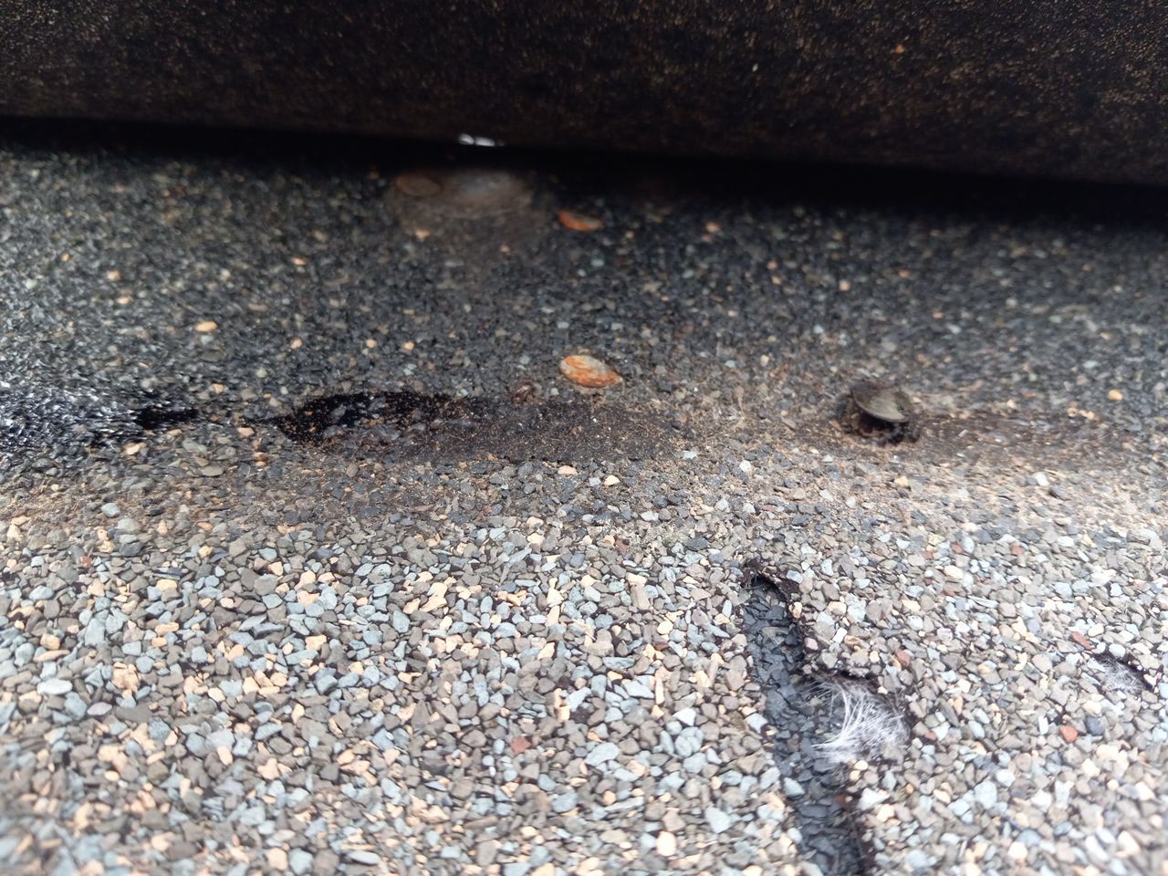 Residential Roofing Repair - 5 year old roof by Georgia Roof Advisors