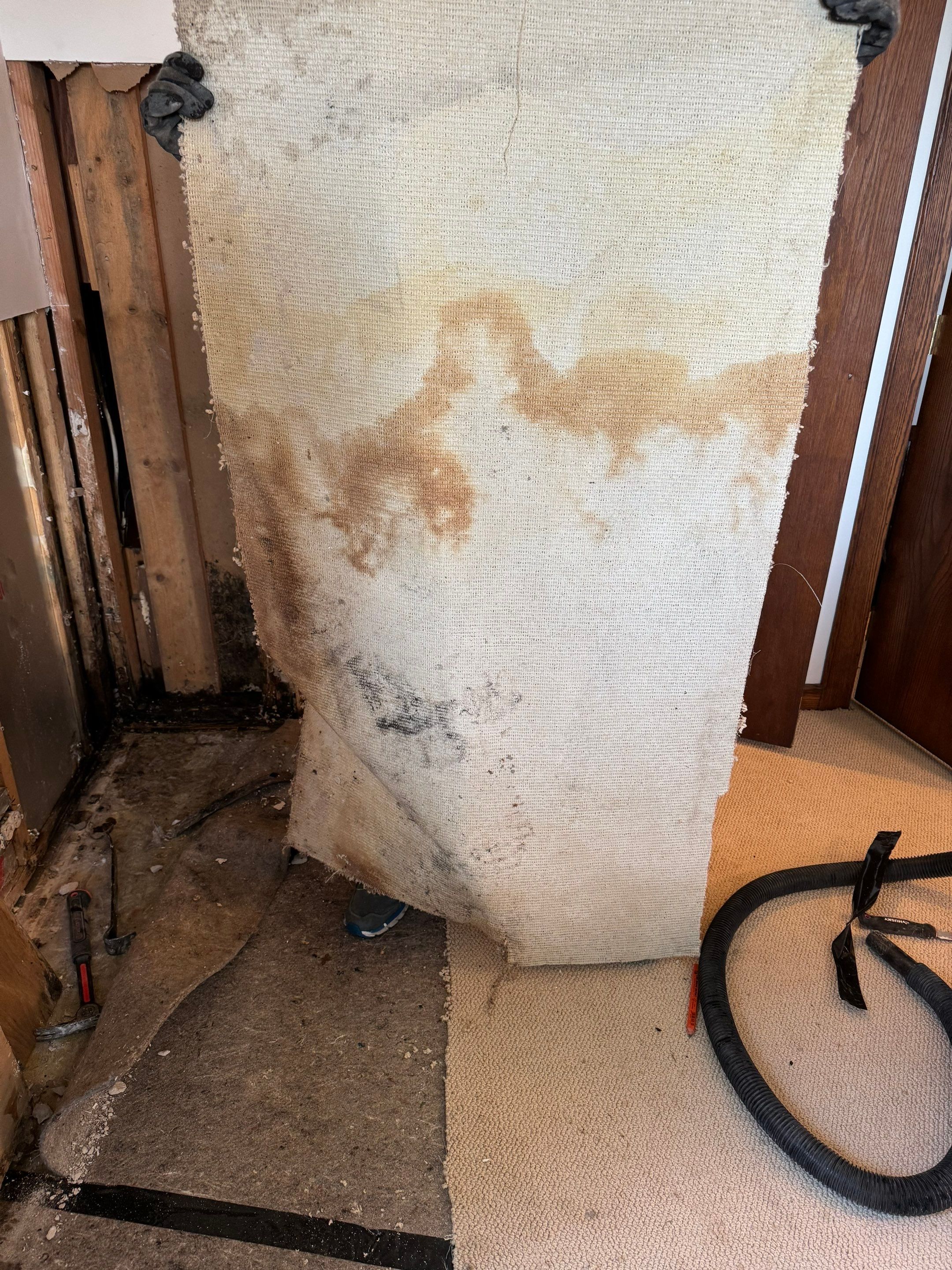 Major Basement Remediation / Restoration by Home Guarantee, LLC