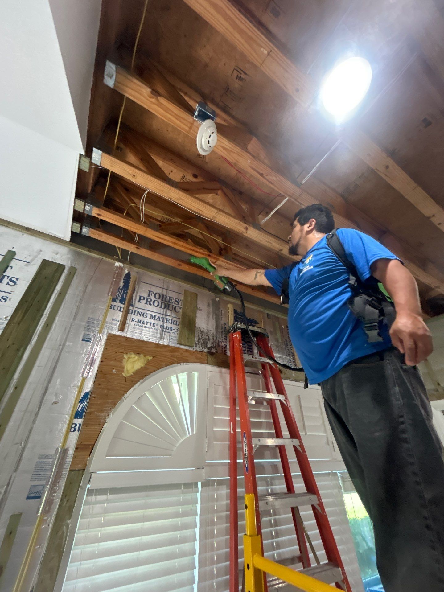 Mold Removal & Remediation In Sarasota by Ampm Restoration Services