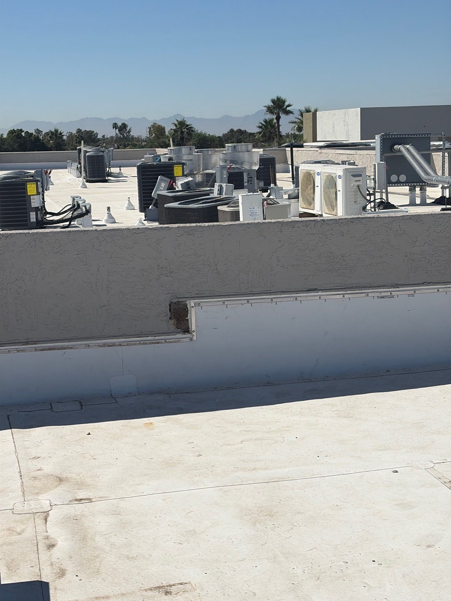 Project in Glendale by Crush Development Services LLC