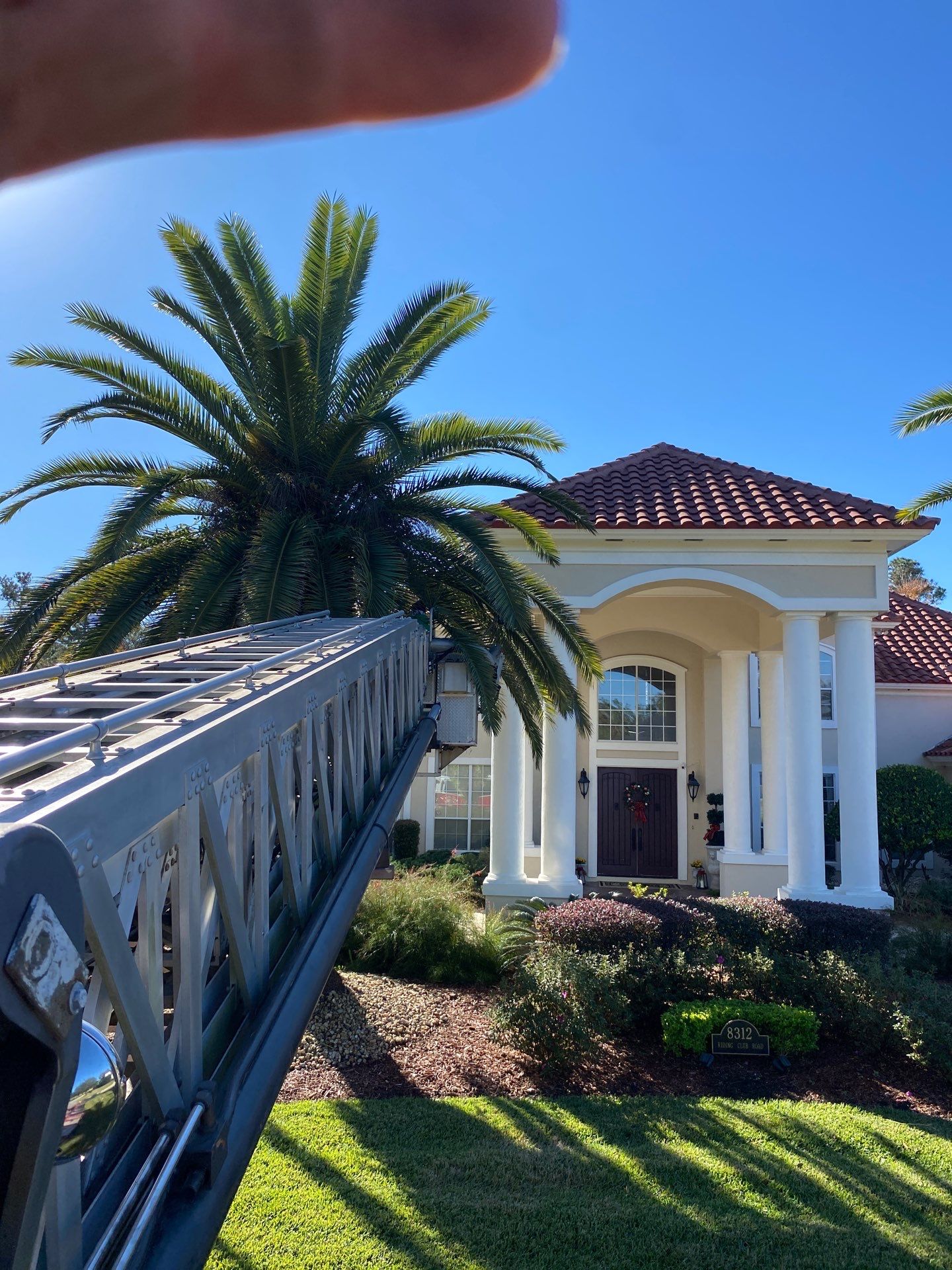 Deerwood Resident | Palm Trimming & Ground Cover by ProGreen Services