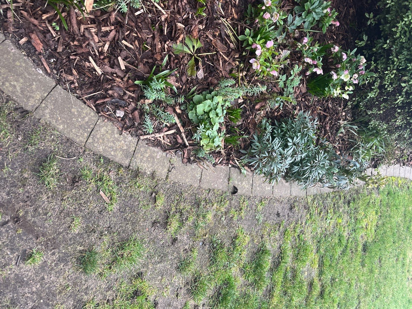 Exterior Clean - Roof - Patio - Driveway using Mosmatic FSC and Biocide by Ges Exterior Cleaning ltd