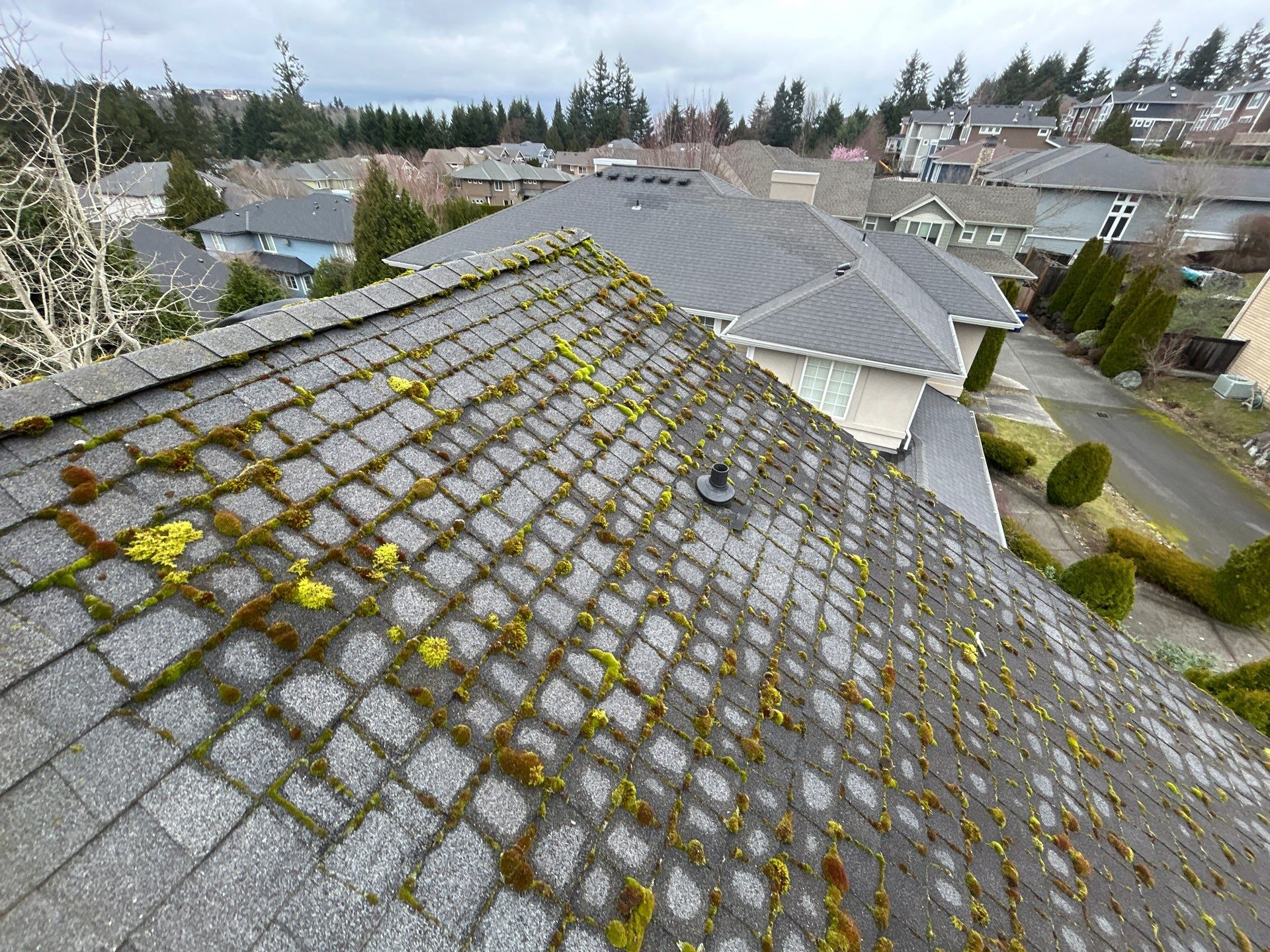 Project in Bellevue by Peaks and Valleys Construction