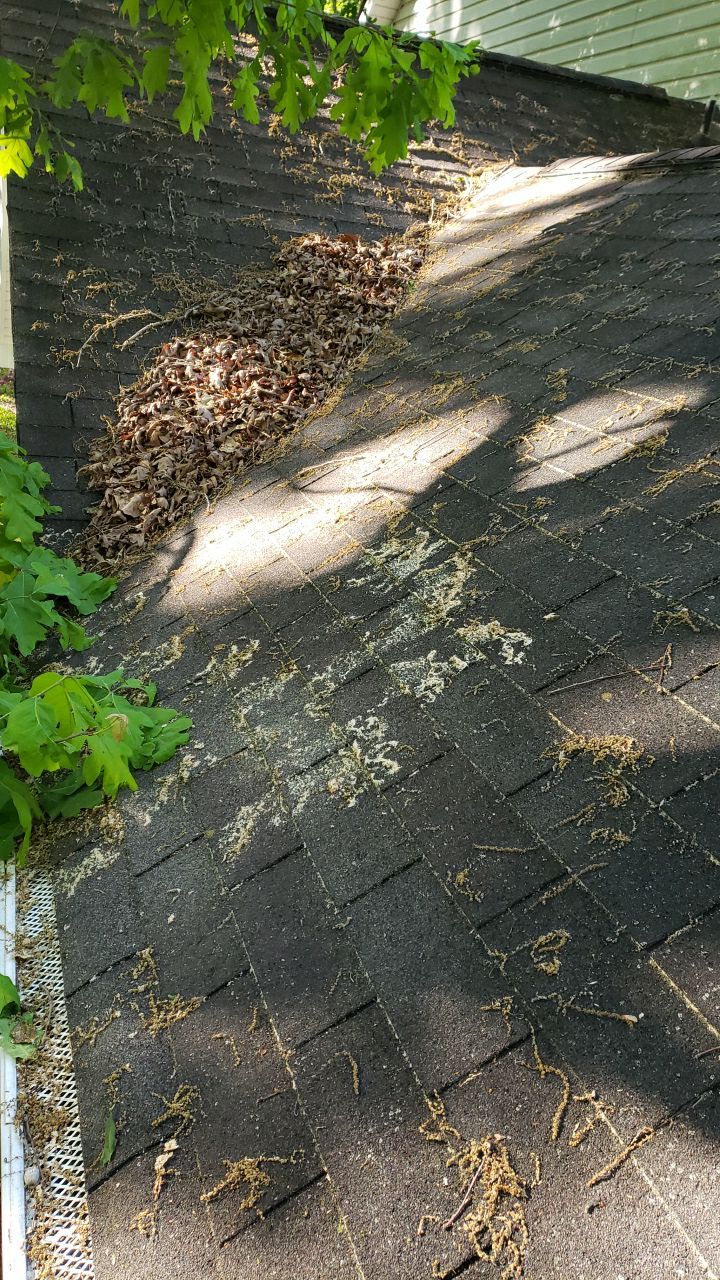 House Wash using cleaner by Power Wash Masters LLC