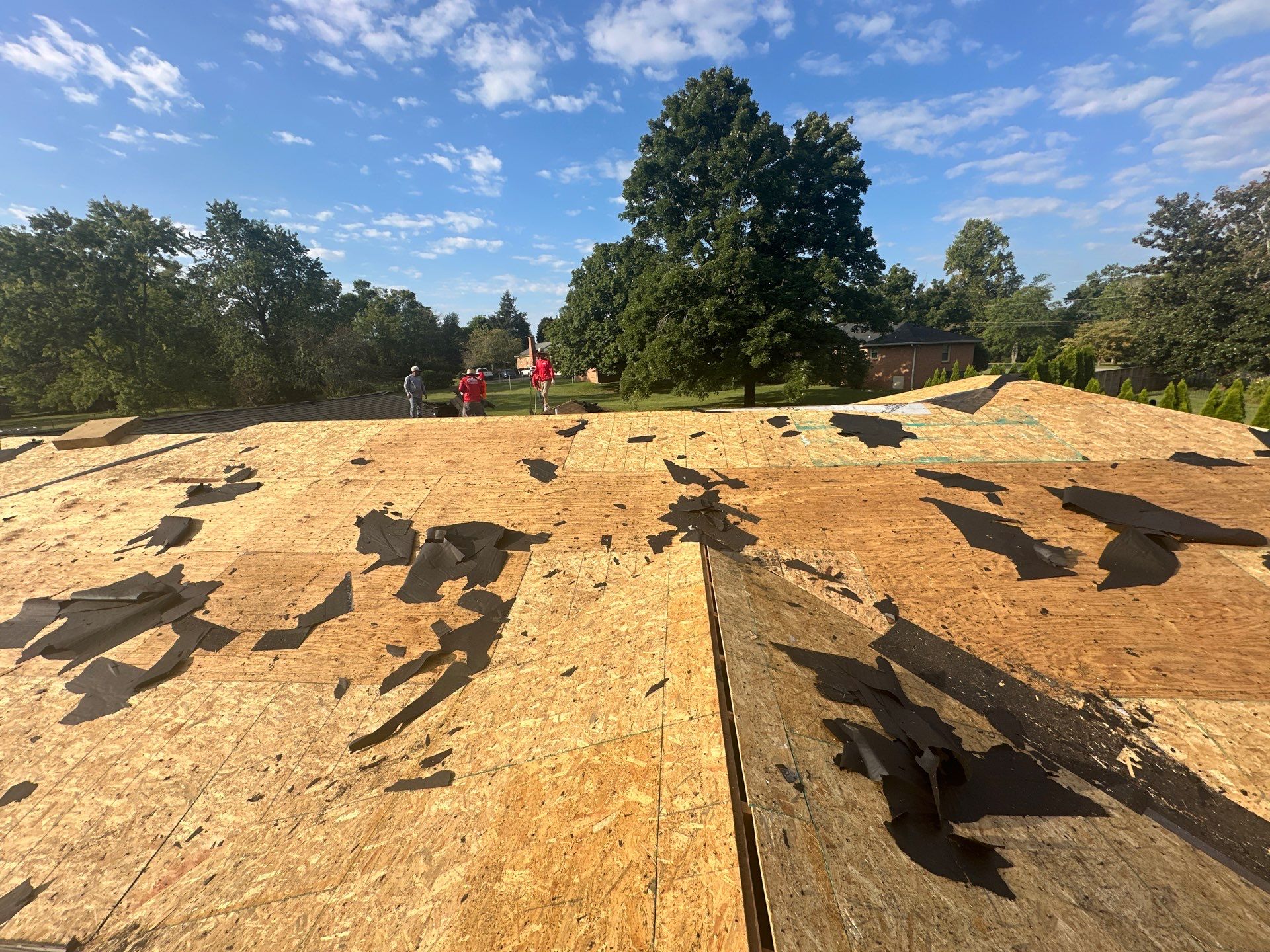 GAF Timberline HDZ in Charcoal by Undersun Roofing