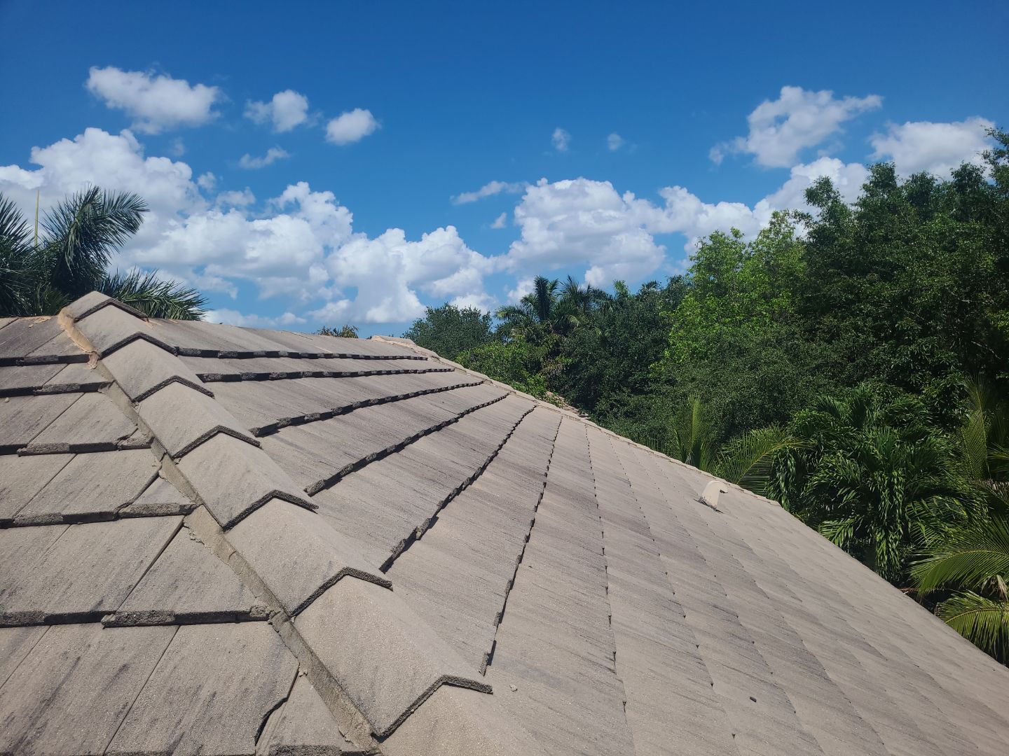 Concrete Tile Roof Repair and Underlayment Replacement in Wellington by Aastro Roofing