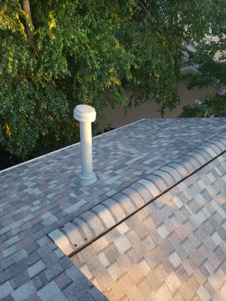 Alexandria: CertainTeed Landmark Pro Designer Shingles in Max Def Colonial Slate by RM Banning, Inc.