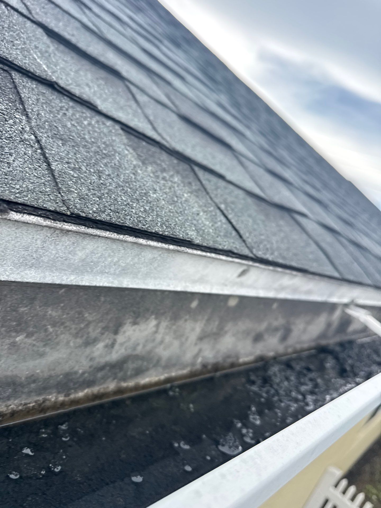 Architectural Shingle Roof Replacement for Bradenton Residential Home by Trinity Restoration and Roofing LLC