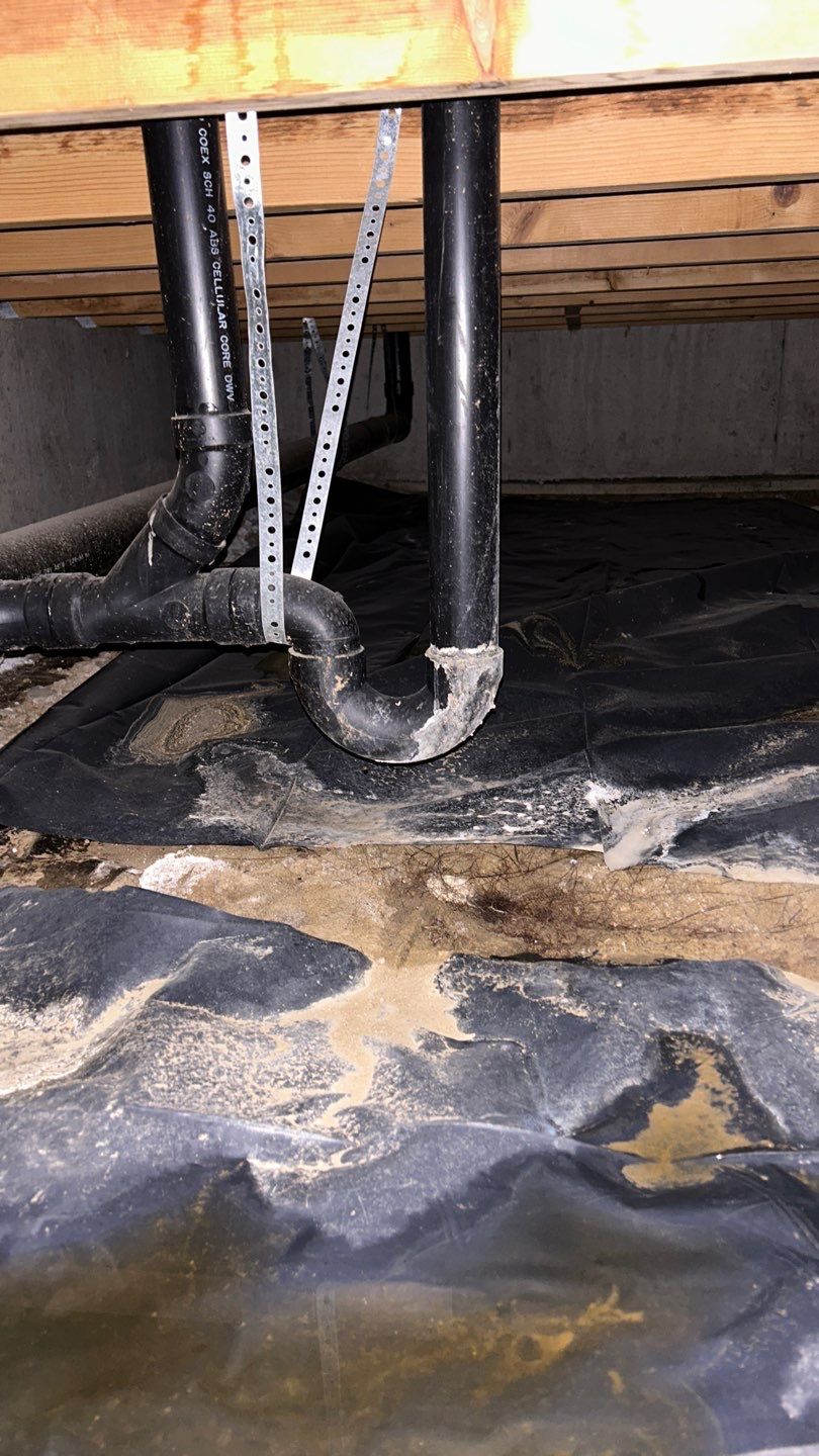 Mold Damage by Accountable Home Services