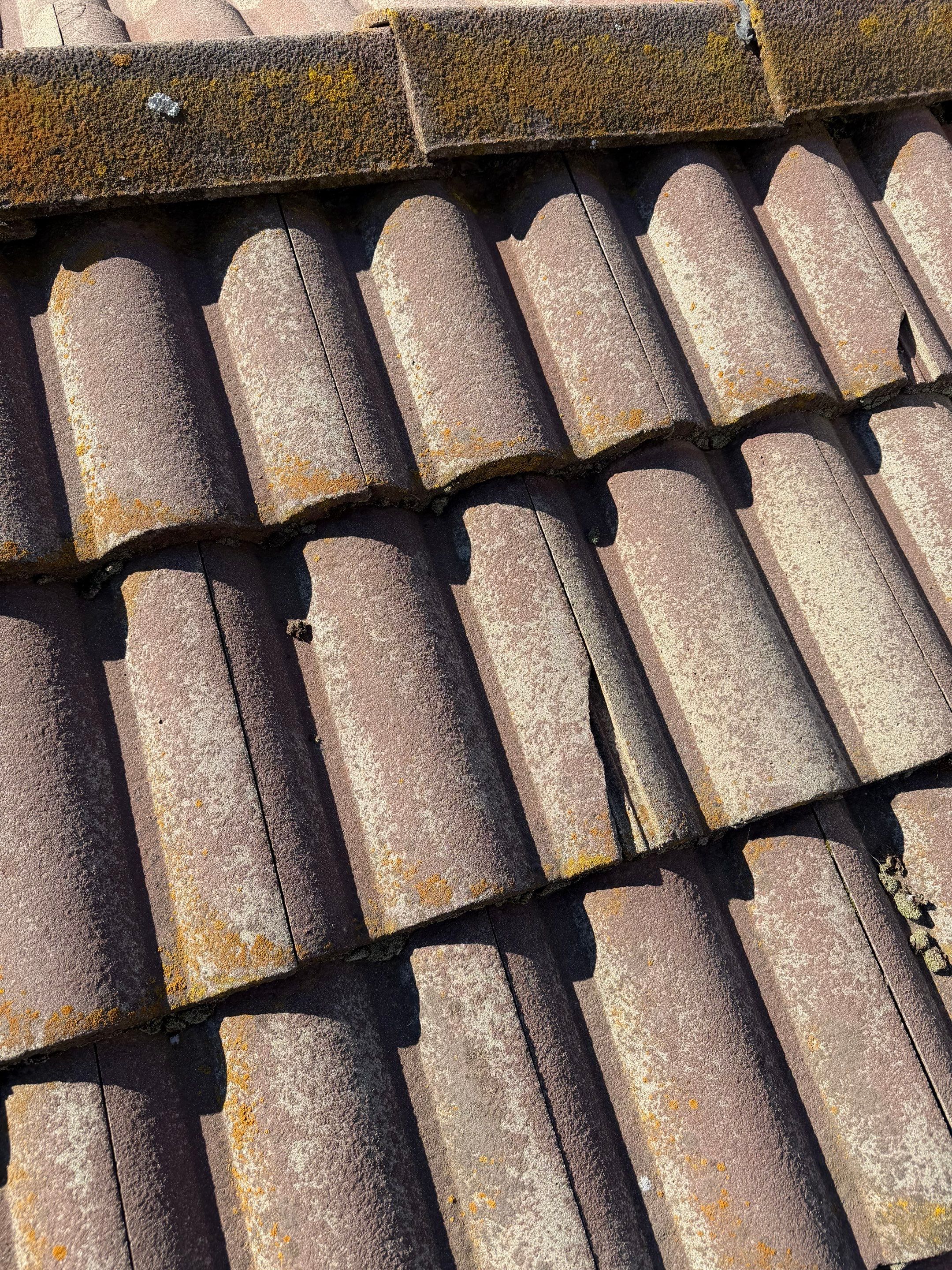 Project in Citrus Heights  by NuLead Construction Inc