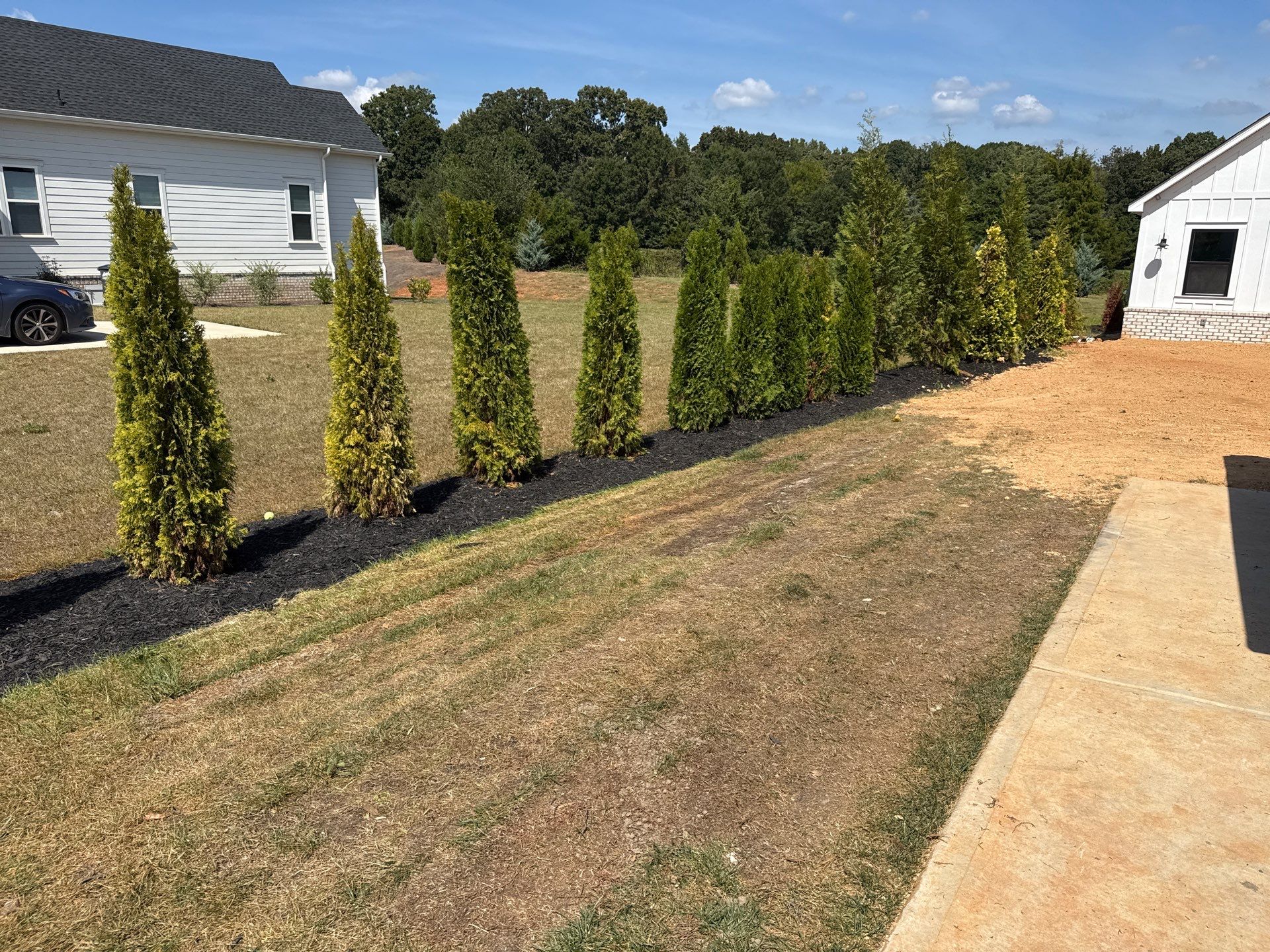 Project in Marvin by Badger Hauling